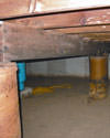 Mold and rot thriving in a dirt floor crawl space in Ventura