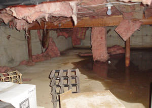 fiberglass insulation dripping off the ceiling of a crawl space in Oxnard.