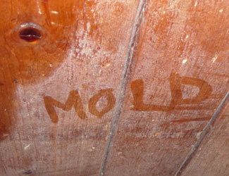 mold damage remediation and removal California