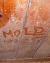 The word mold written with a finger on a moldy wood wall in Newbury Park
