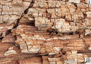 Dry rot damage on wood in Fillmore