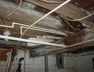 a humid basement overgrown with mold and rot in Somis