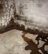 Water seeping through a concrete wall in a  basement